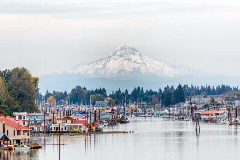A harbor with boats docked along the shore, a few empty slips visible, houses and trees on either side, and a snow-capped mountain in the background under a cloudy sky.